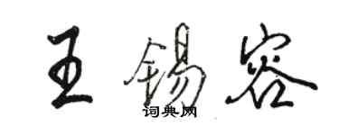 駱恆光王錫容行書個性簽名怎么寫