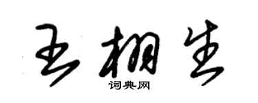 朱錫榮王栩生草書個性簽名怎么寫