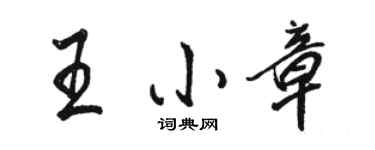 駱恆光王小章行書個性簽名怎么寫