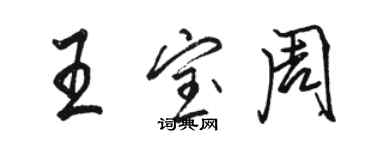 駱恆光王寶周行書個性簽名怎么寫