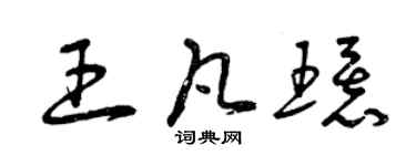 曾慶福王凡環草書個性簽名怎么寫