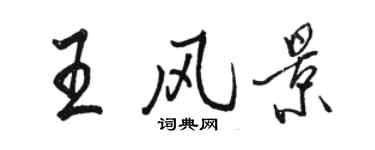 駱恆光王風景行書個性簽名怎么寫