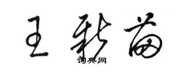 駱恆光王新苗草書個性簽名怎么寫