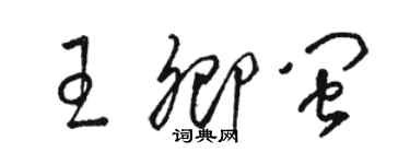 駱恆光王卿閩草書個性簽名怎么寫