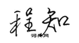 駱恆光程知行書個性簽名怎么寫