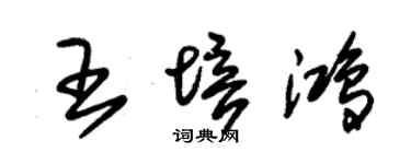 朱錫榮王培鴻草書個性簽名怎么寫