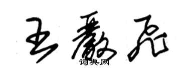 朱錫榮王嚴飛草書個性簽名怎么寫