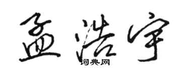 駱恆光孟浩宇行書個性簽名怎么寫