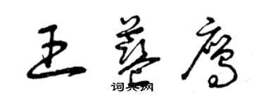 曾慶福王藍鷹草書個性簽名怎么寫