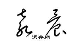 梁錦英袁晨草書個性簽名怎么寫