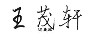 駱恆光王茂軒行書個性簽名怎么寫