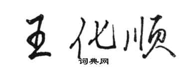 駱恆光王化順行書個性簽名怎么寫