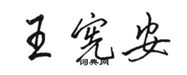 駱恆光王憲安行書個性簽名怎么寫