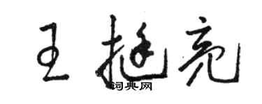 駱恆光王挺亮草書個性簽名怎么寫