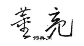 駱恆光董亮草書個性簽名怎么寫
