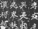 啟功楷書《千字文》（2）_啟功書法作品欣賞