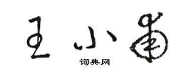 駱恆光王小甫草書個性簽名怎么寫