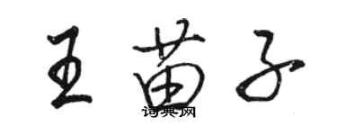 駱恆光王苗子行書個性簽名怎么寫