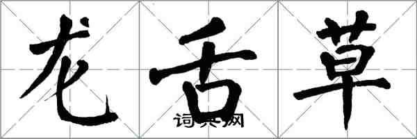 翁闓運龍舌草楷書怎么寫