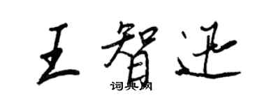 王正良王智迅行書個性簽名怎么寫