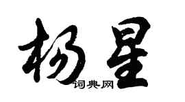 胡問遂楊星行書個性簽名怎么寫