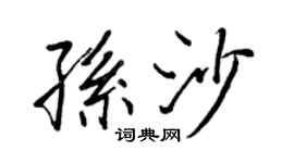 王正良孫沙行書個性簽名怎么寫