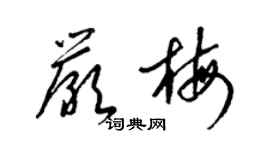 梁錦英嚴梅草書個性簽名怎么寫