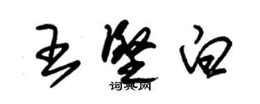 朱錫榮王堅白草書個性簽名怎么寫