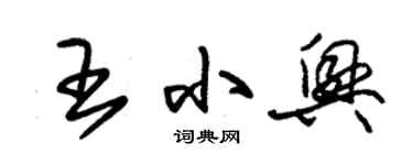 朱錫榮王小興草書個性簽名怎么寫