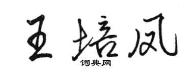 駱恆光王培鳳行書個性簽名怎么寫