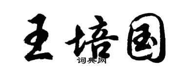 胡問遂王培國行書個性簽名怎么寫