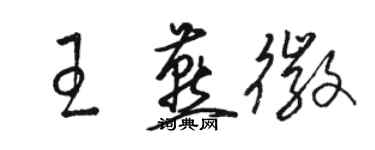 駱恆光王燕徽草書個性簽名怎么寫