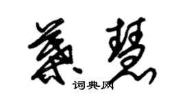 朱錫榮葉慧草書個性簽名怎么寫