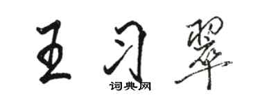 駱恆光王習翠行書個性簽名怎么寫