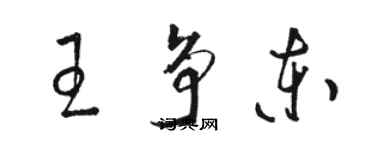 駱恆光王爭東草書個性簽名怎么寫