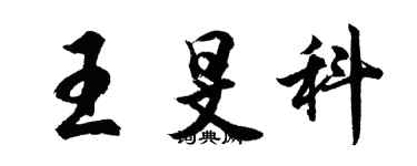 胡問遂王旻科行書個性簽名怎么寫