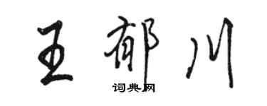 駱恆光王郁川行書個性簽名怎么寫
