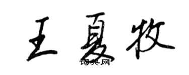 王正良王夏牧行書個性簽名怎么寫