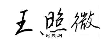 王正良王照微行書個性簽名怎么寫