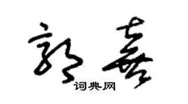 朱錫榮郭喜草書個性簽名怎么寫