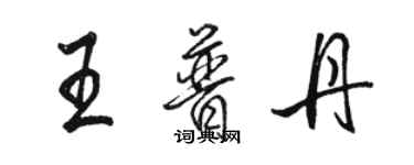 駱恆光王普丹行書個性簽名怎么寫