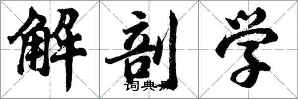 胡問遂解剖學行書怎么寫