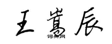 王正良王嵩辰行書個性簽名怎么寫