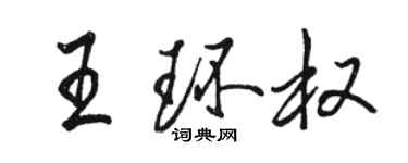 駱恆光王環權行書個性簽名怎么寫