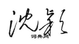 駱恆光沈穎草書個性簽名怎么寫