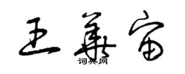 曾慶福王華宙草書個性簽名怎么寫