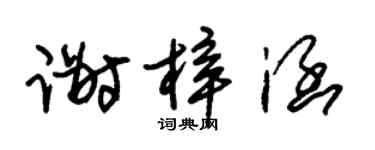 朱錫榮謝梓涵草書個性簽名怎么寫