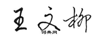 駱恆光王文柳行書個性簽名怎么寫