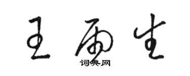 駱恆光王雨生草書個性簽名怎么寫