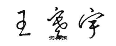 駱恆光王寒宇草書個性簽名怎么寫